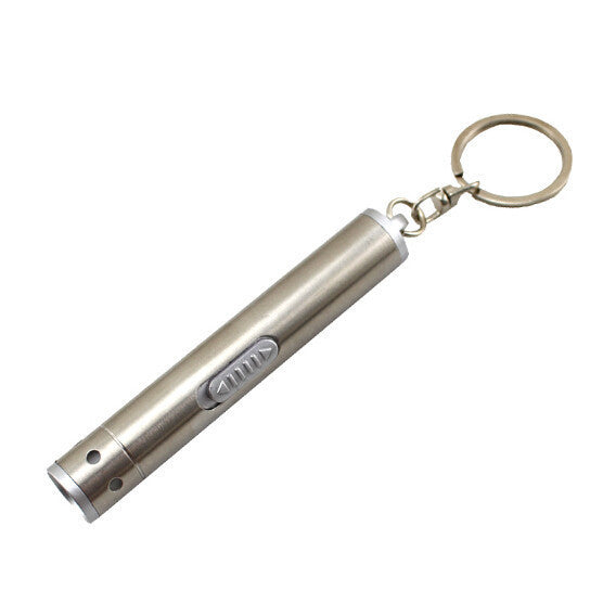 **FREE** Stainless Steel Mini Flashlight